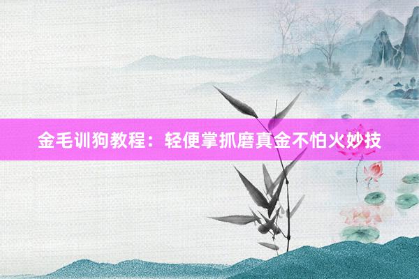 金毛训狗教程：轻便掌抓磨真金不怕火妙技